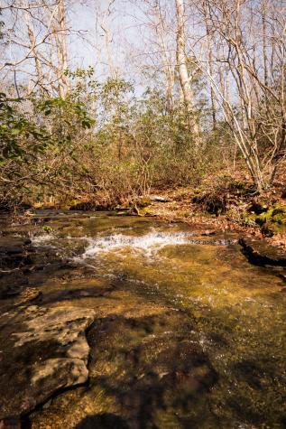 0 Deer Run Road Altamont TN 37301