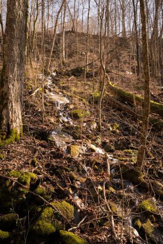 0 Deer Run Road Altamont TN 37301