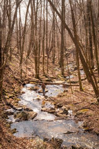 0 Deer Run Road Altamont TN 37301