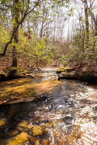 0 Deer Run Road Altamont TN 37301