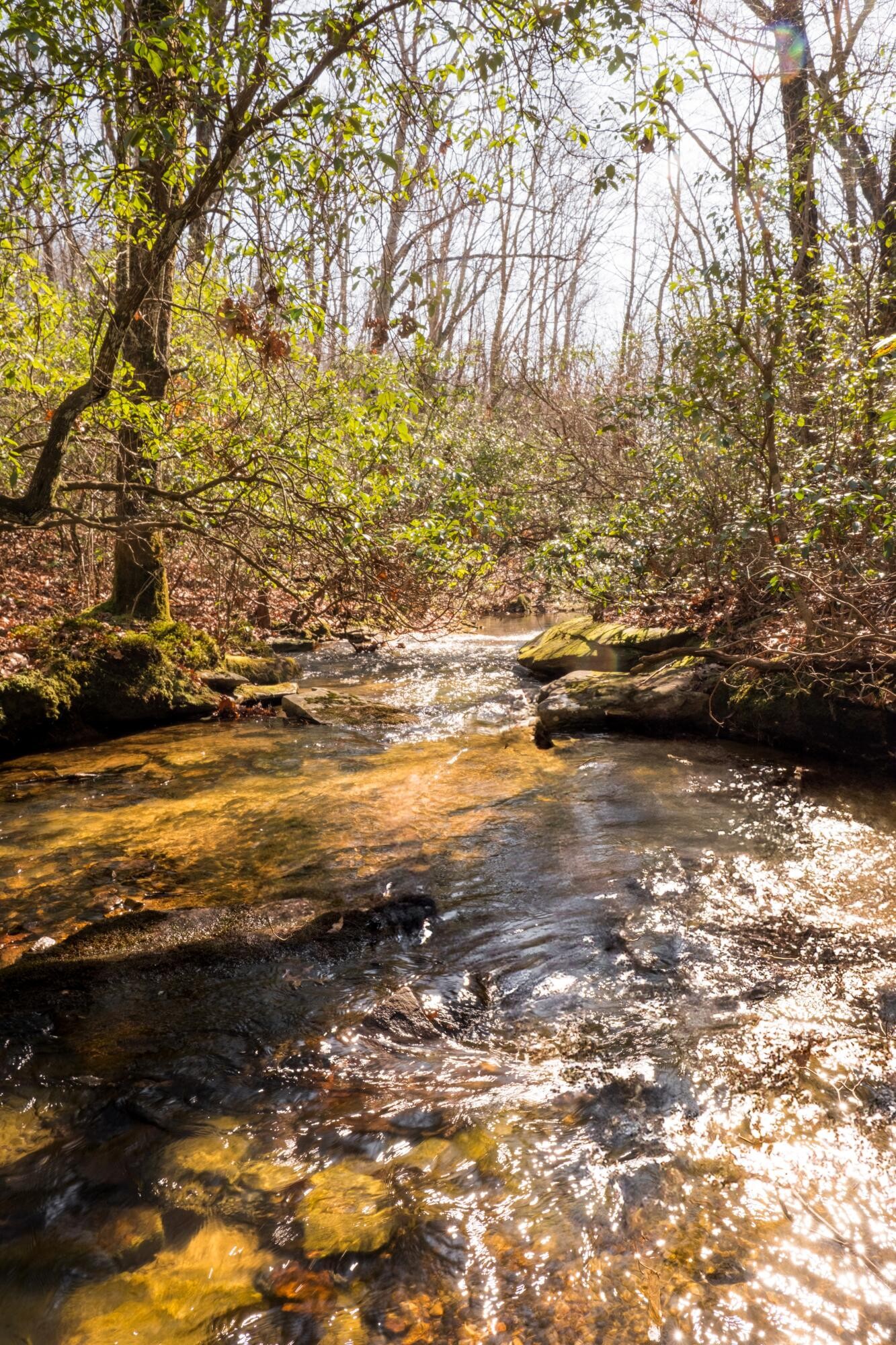 0 Deer Run Road Altamont TN 37301