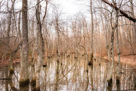 0 Deer Run Road Altamont TN 37301