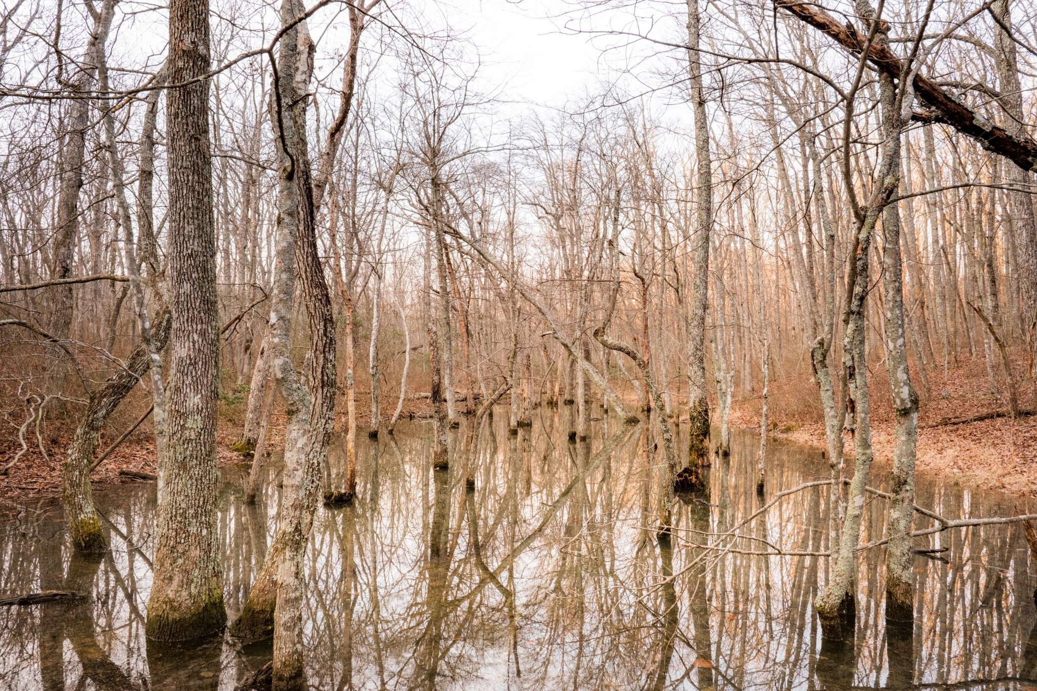 0 Deer Run Road Altamont TN 37301