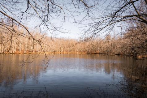 0 Deer Run Road Altamont TN 37301