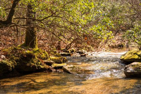0 Deer Run Road Altamont TN 37301
