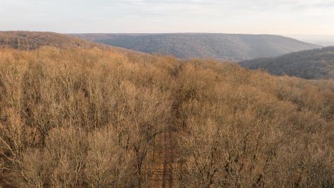 0 Deer Run Road Altamont TN 37301
