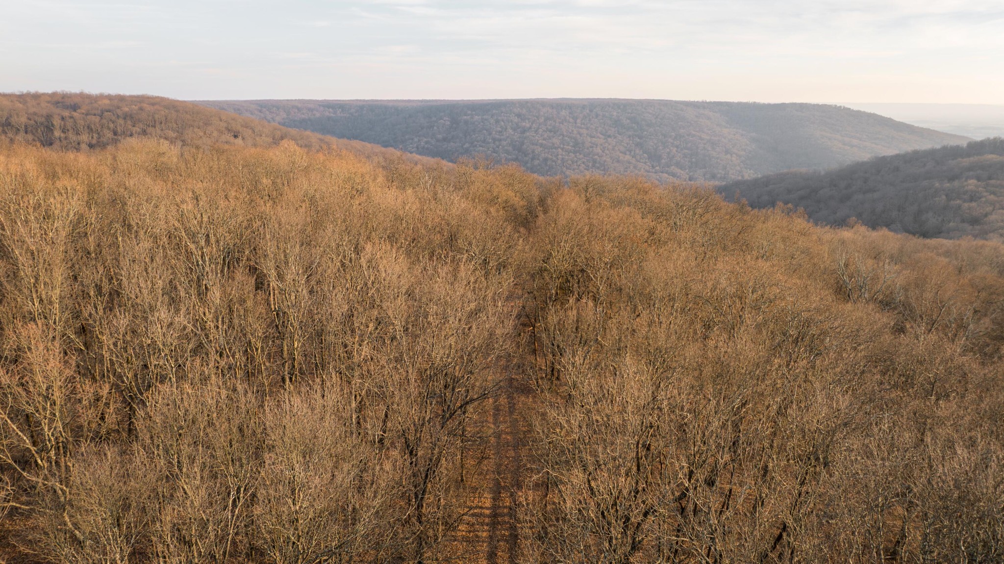 0 Deer Run Road Altamont TN 37301