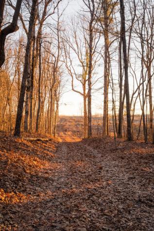 0 Deer Run Road Altamont TN 37301