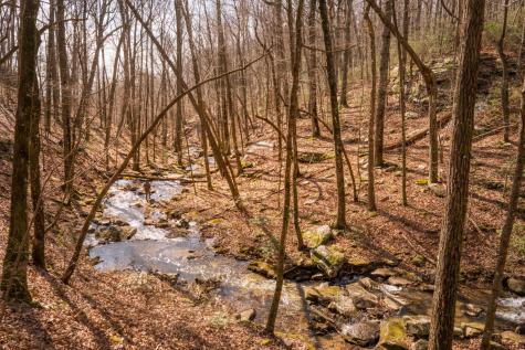 0 Deer Run Road Altamont TN 37301