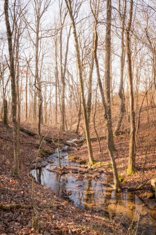 0 Deer Run Road Altamont TN 37301