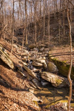 0 Deer Run Road Altamont TN 37301