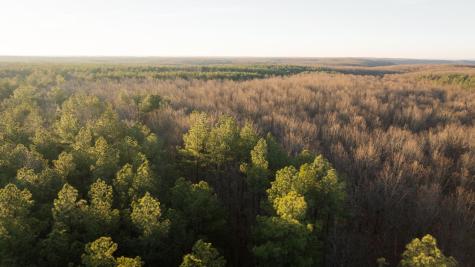 0 Deer Run Road Altamont TN 37301