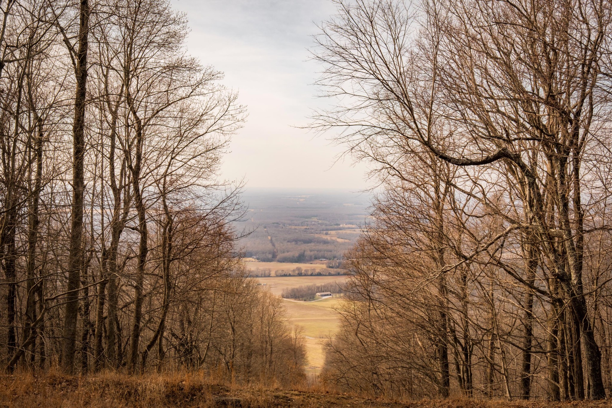 0 Deer Run Road Altamont TN 37301