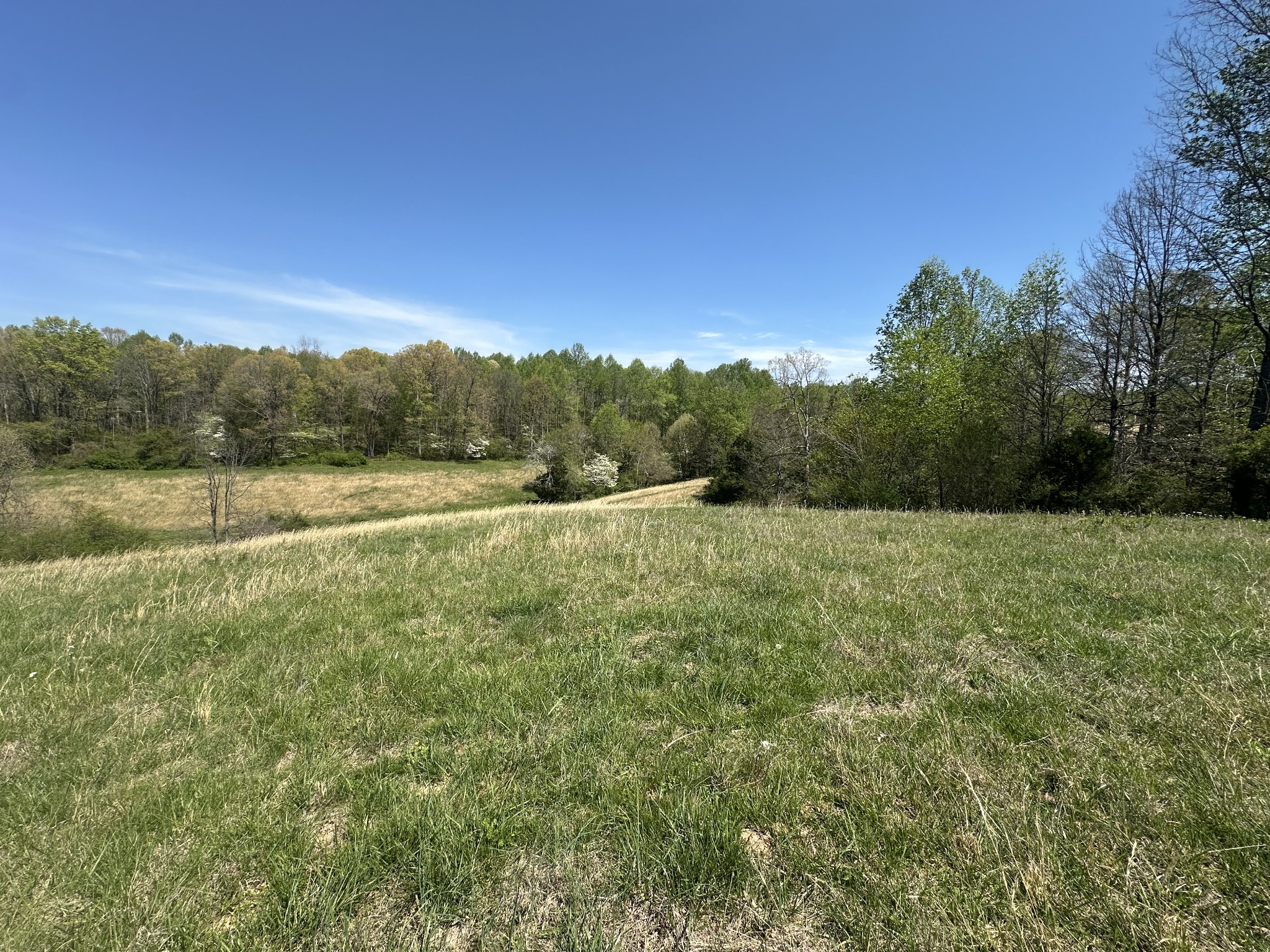 515 Jericho Road Quebeck TN 38579