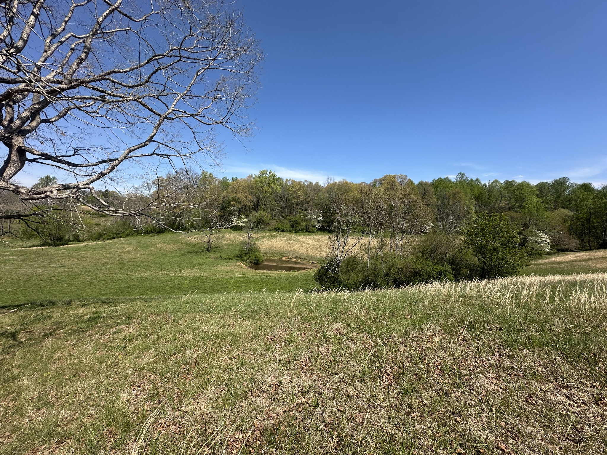 515 Jericho Road Quebeck TN 38579