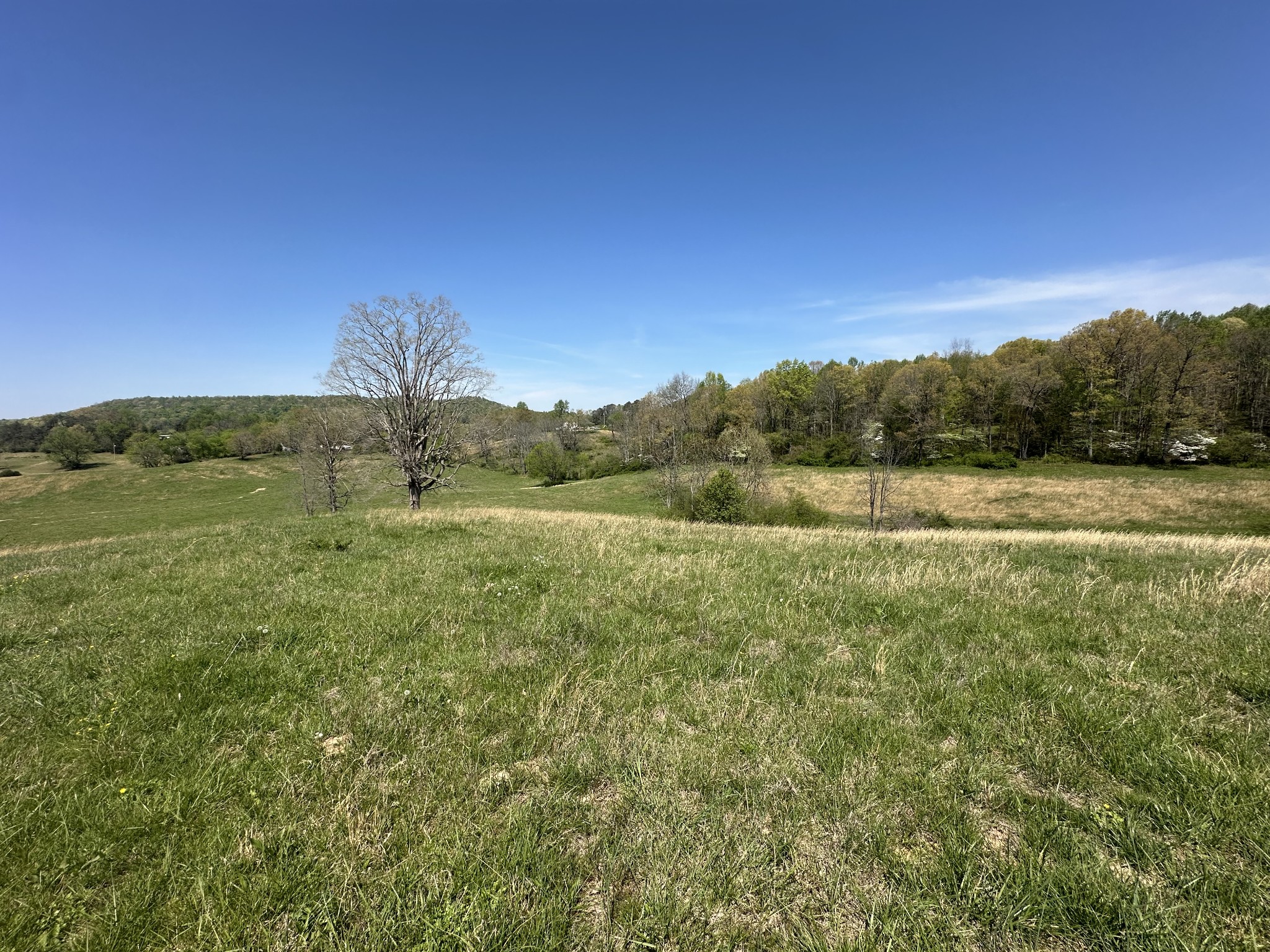 515 Jericho Road Quebeck TN 38579