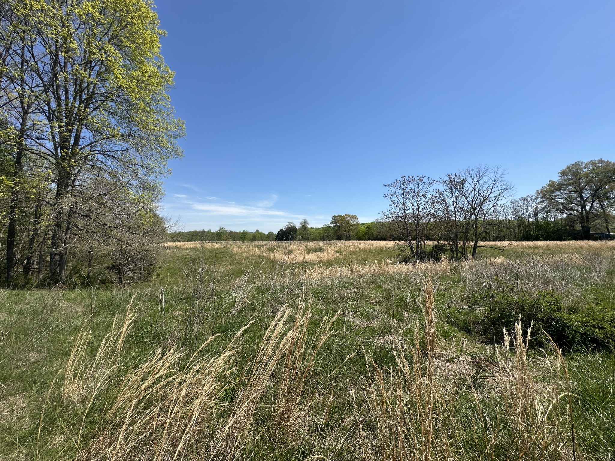 515 Jericho Road Quebeck TN 38579