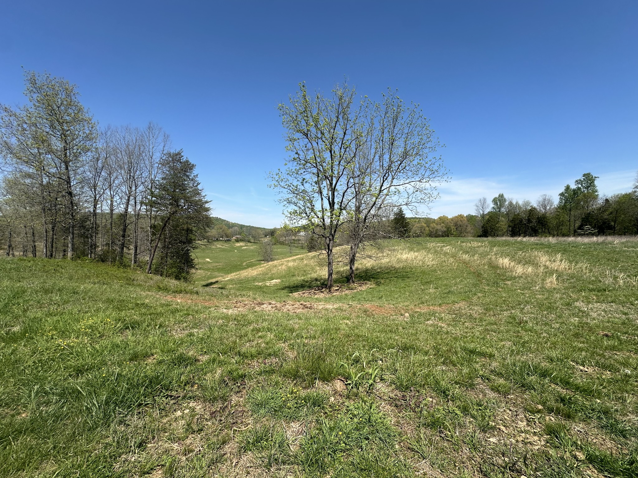 515 Jericho Road Quebeck TN 38579