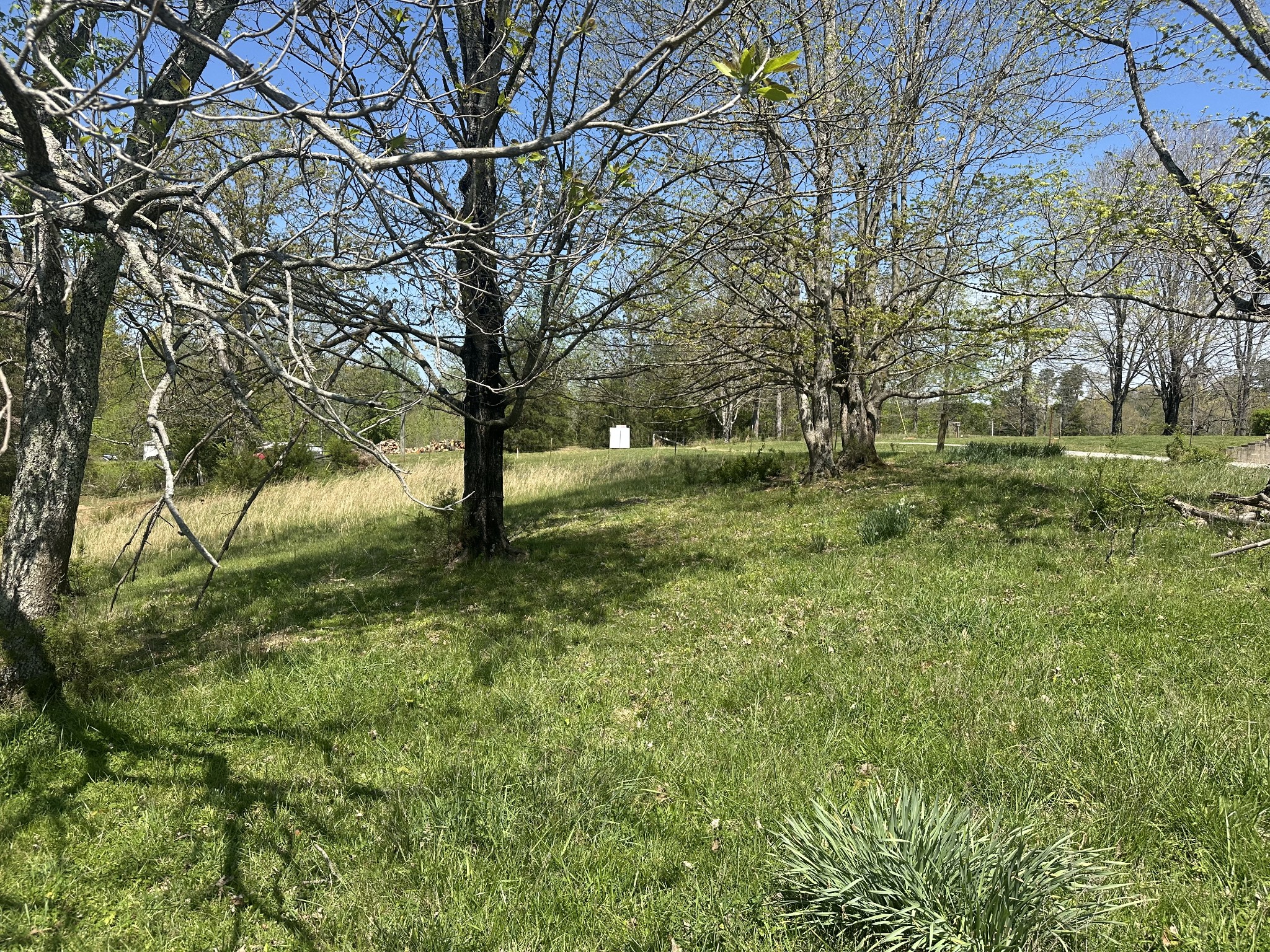 515 Jericho Road Quebeck TN 38579