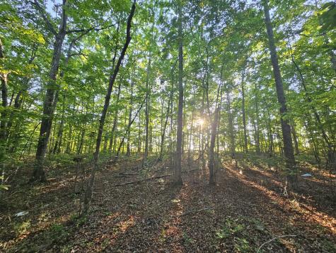10 Griswold Road Altamont TN 37301