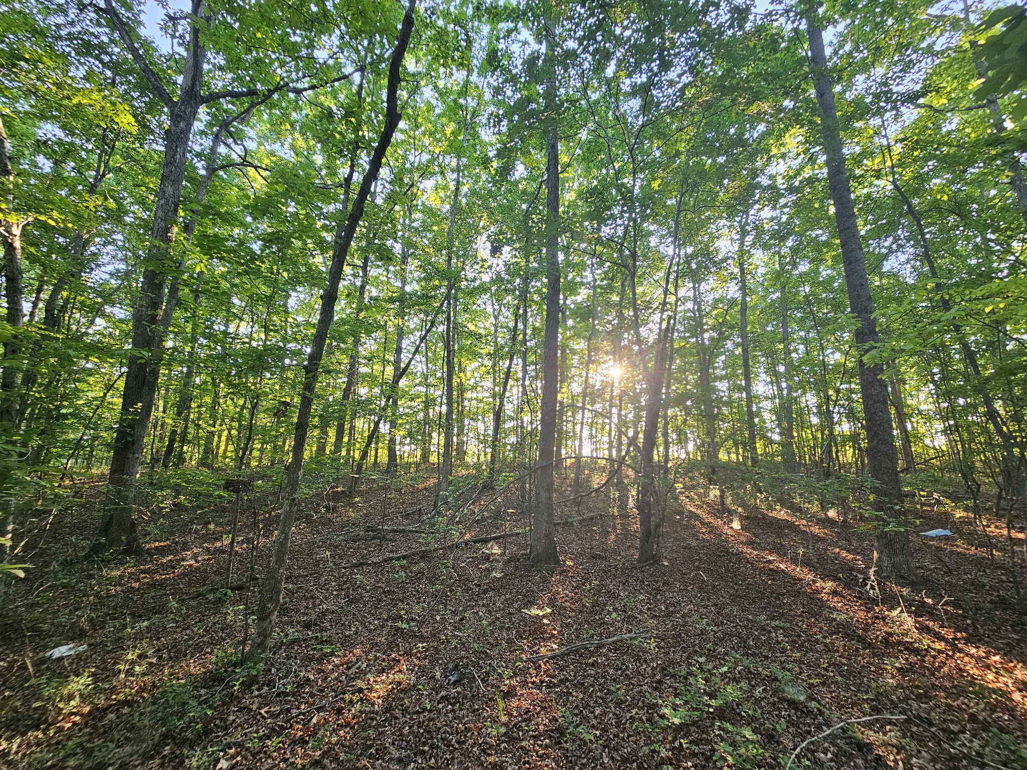 10 Griswold Road Altamont TN 37301