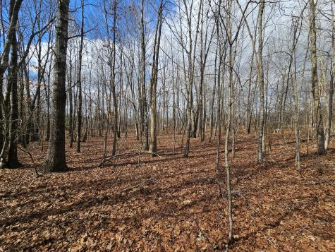 10 Griswold Road Altamont TN 37301