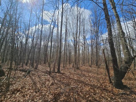 10 Griswold Road Altamont TN 37301