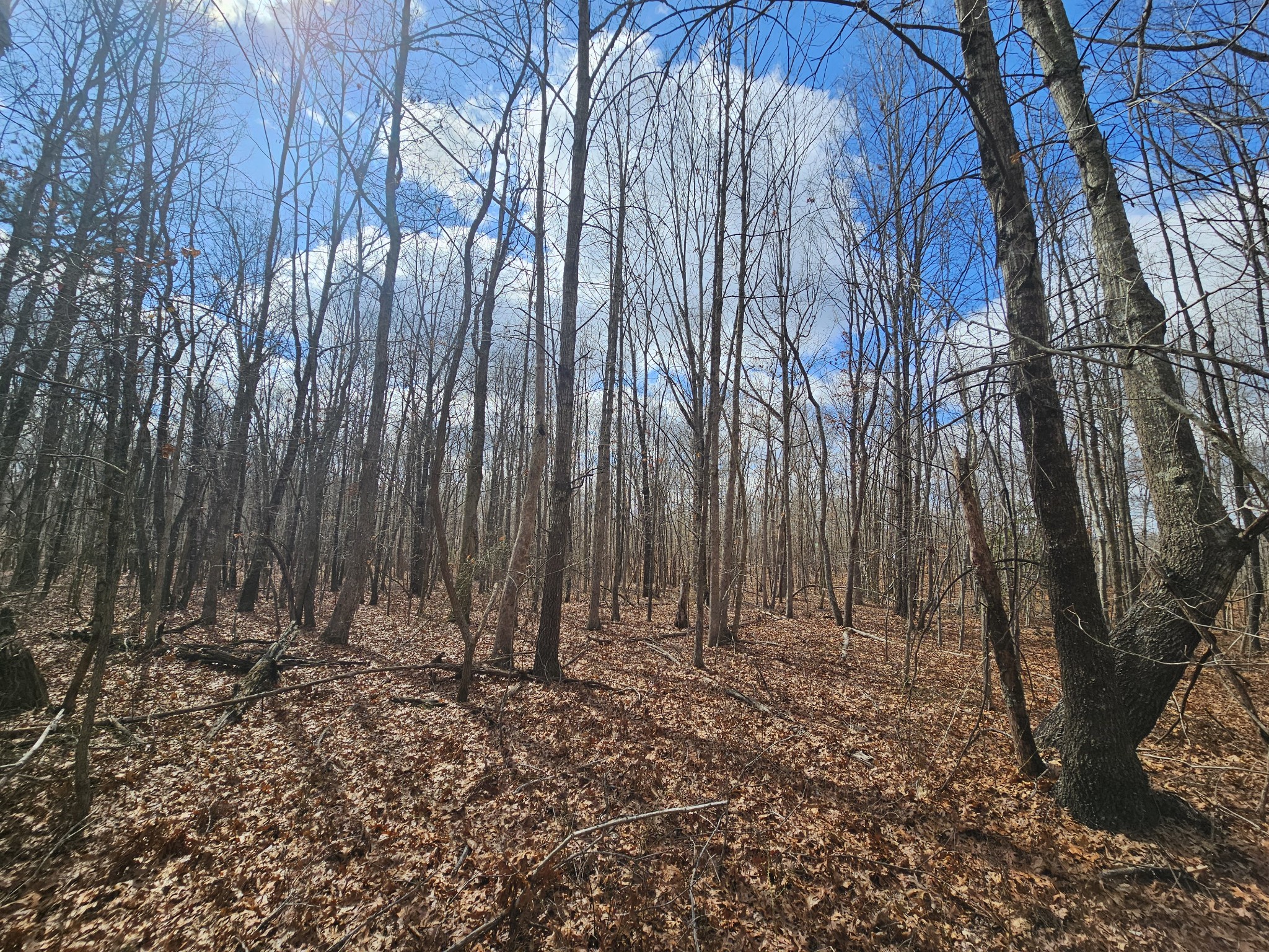 10 Griswold Road Altamont TN 37301