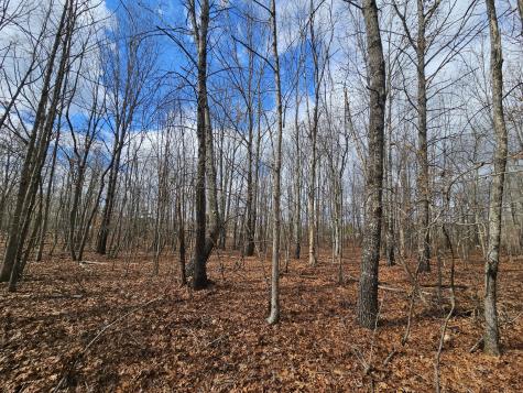 10 Griswold Road Altamont TN 37301