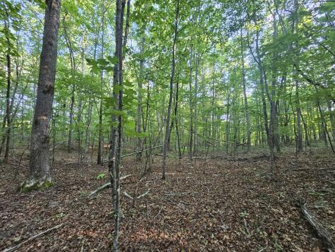 10 Griswold Road Altamont TN 37301