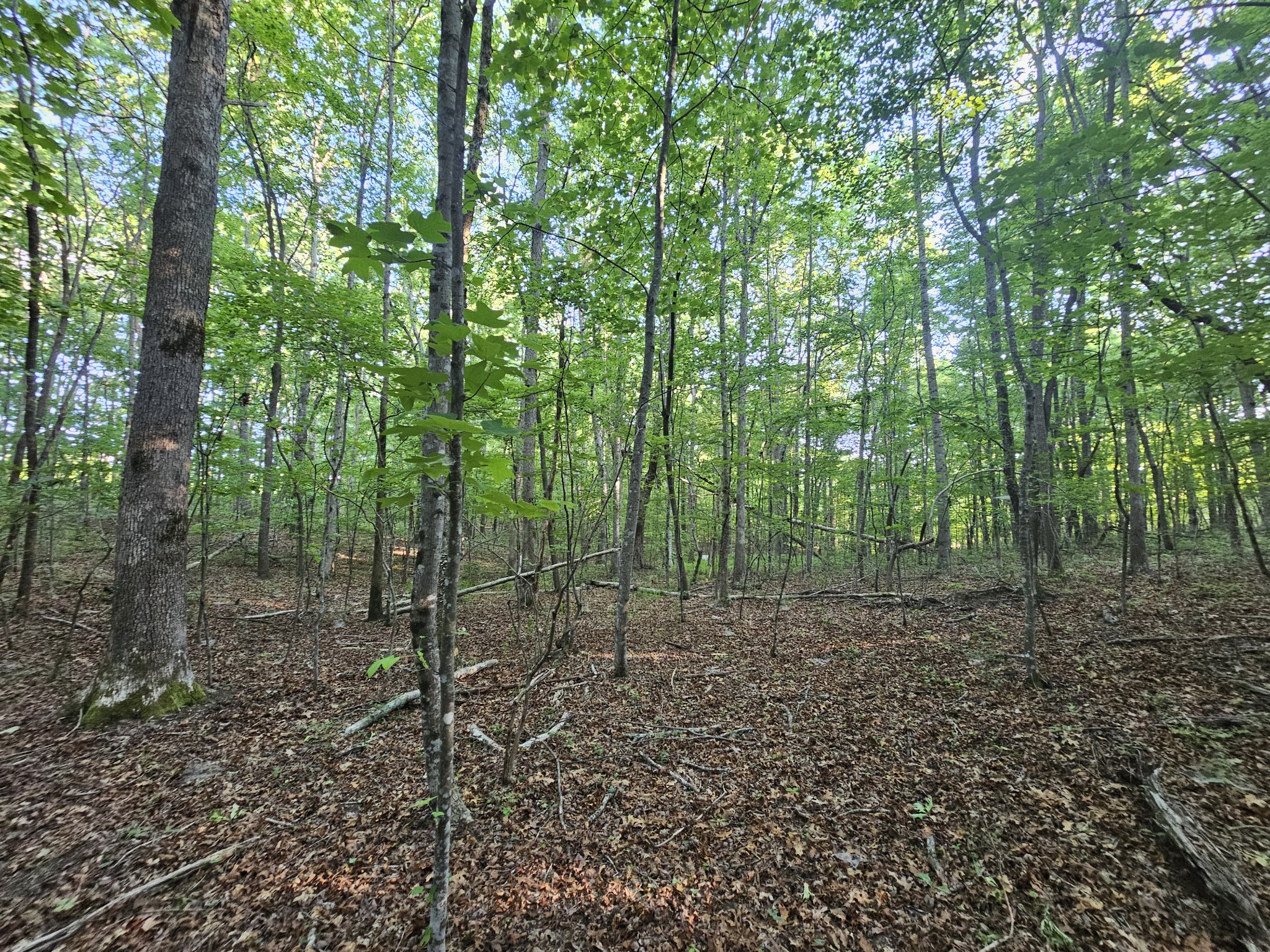 10 Griswold Road Altamont TN 37301