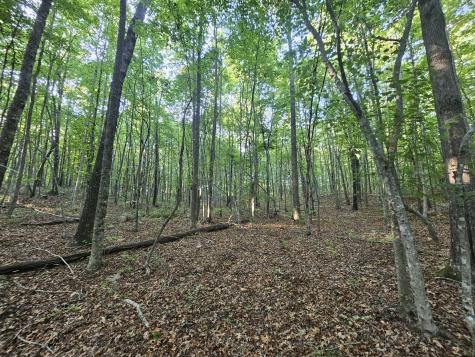 10 Griswold Road Altamont TN 37301
