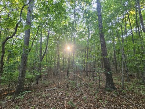 10 Griswold Road Altamont TN 37301