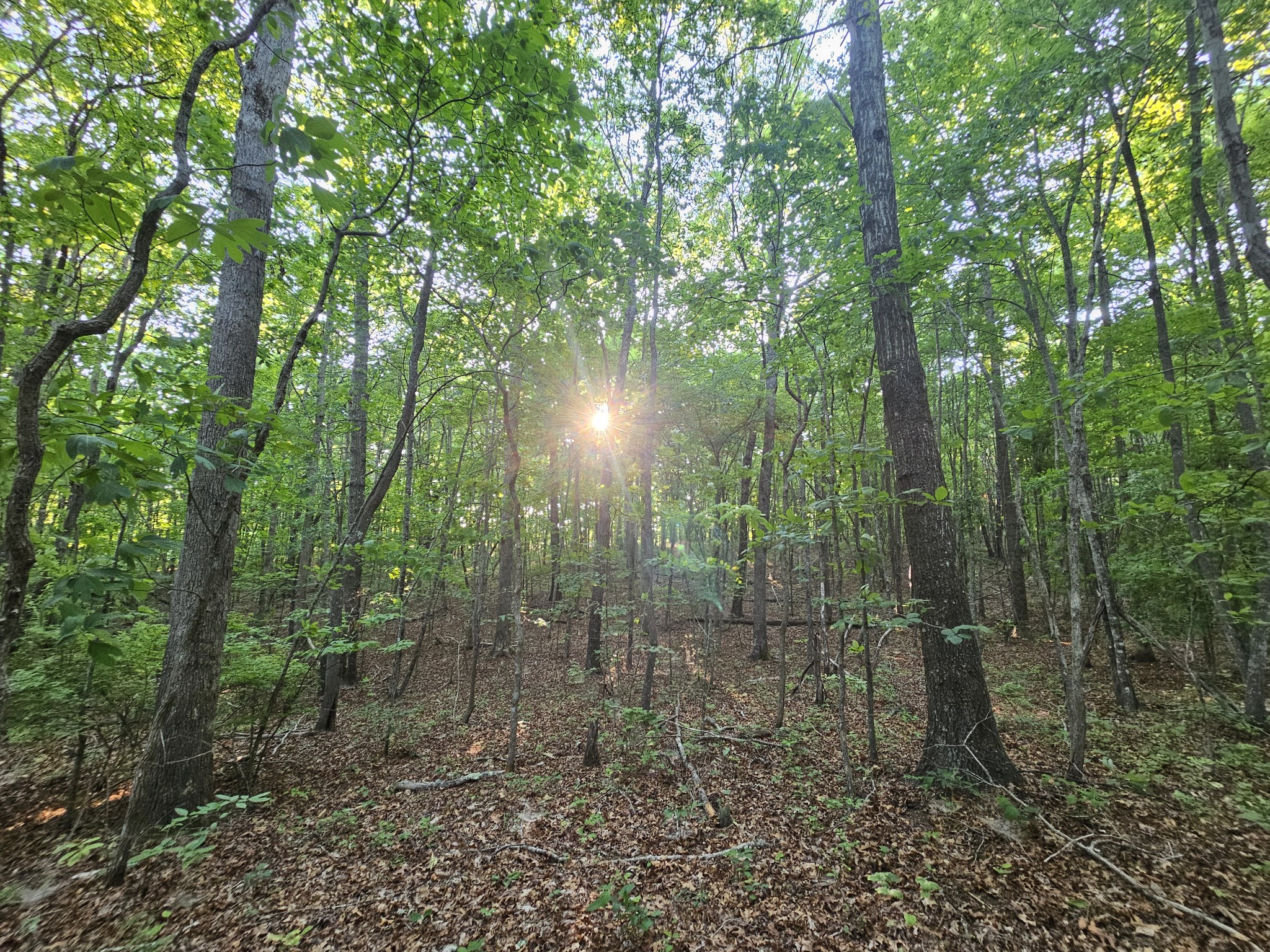 10 Griswold Road Altamont TN 37301