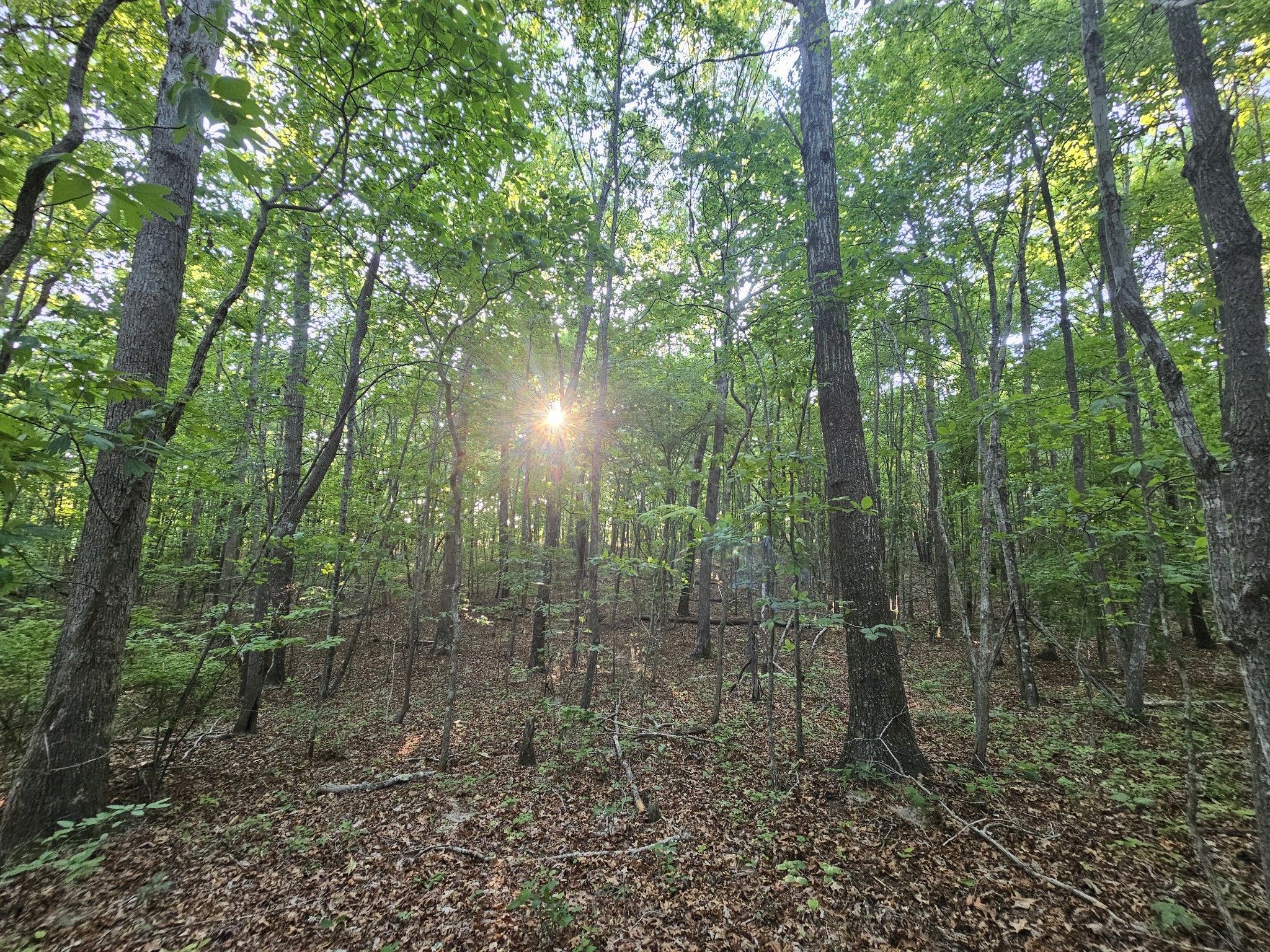 10 Griswold Road Altamont TN 37301