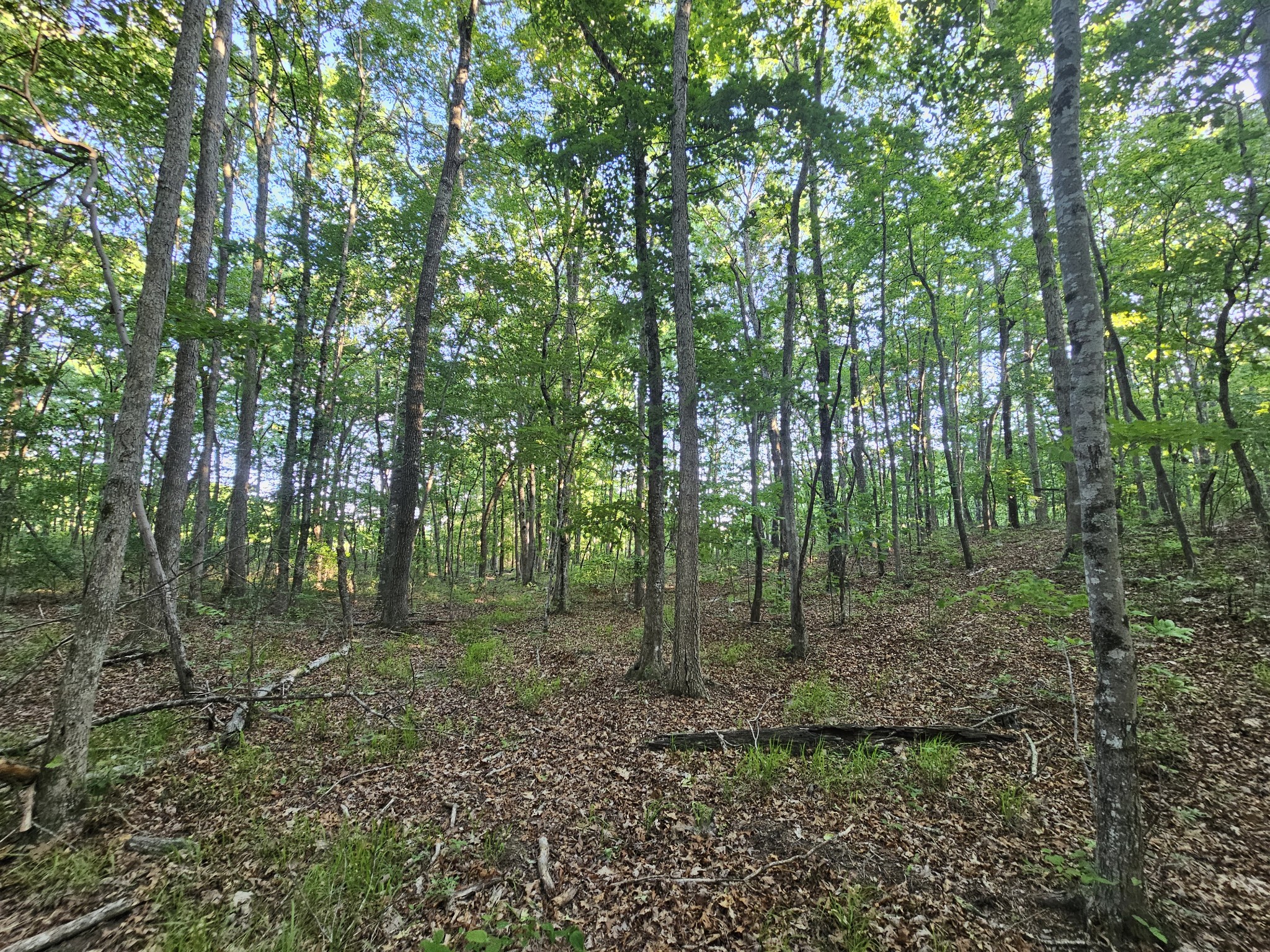 10 Griswold Road Altamont TN 37301