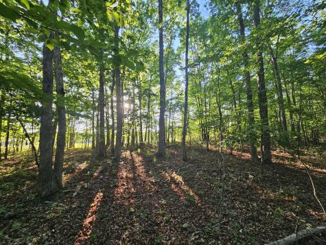 10 Griswold Road Altamont TN 37301