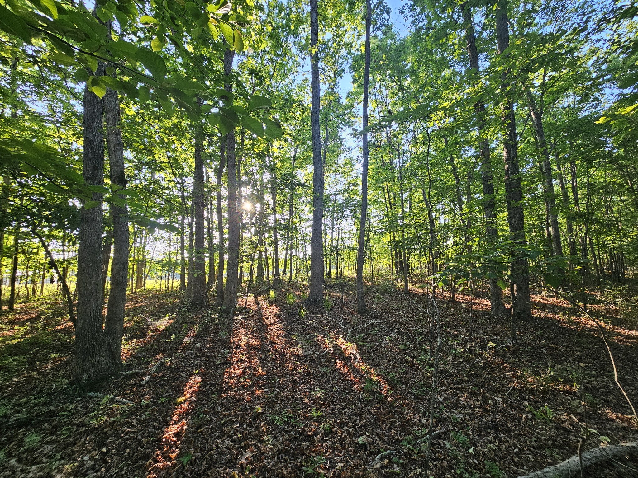 10 Griswold Road Altamont TN 37301