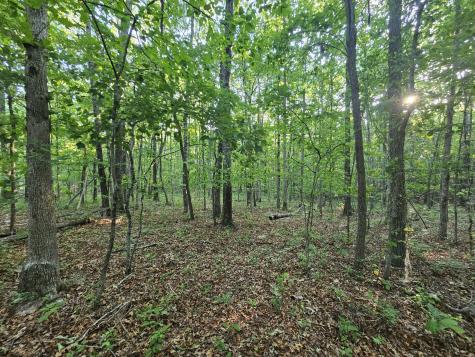 10 Griswold Road Altamont TN 37301