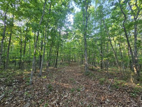 10 Griswold Road Altamont TN 37301
