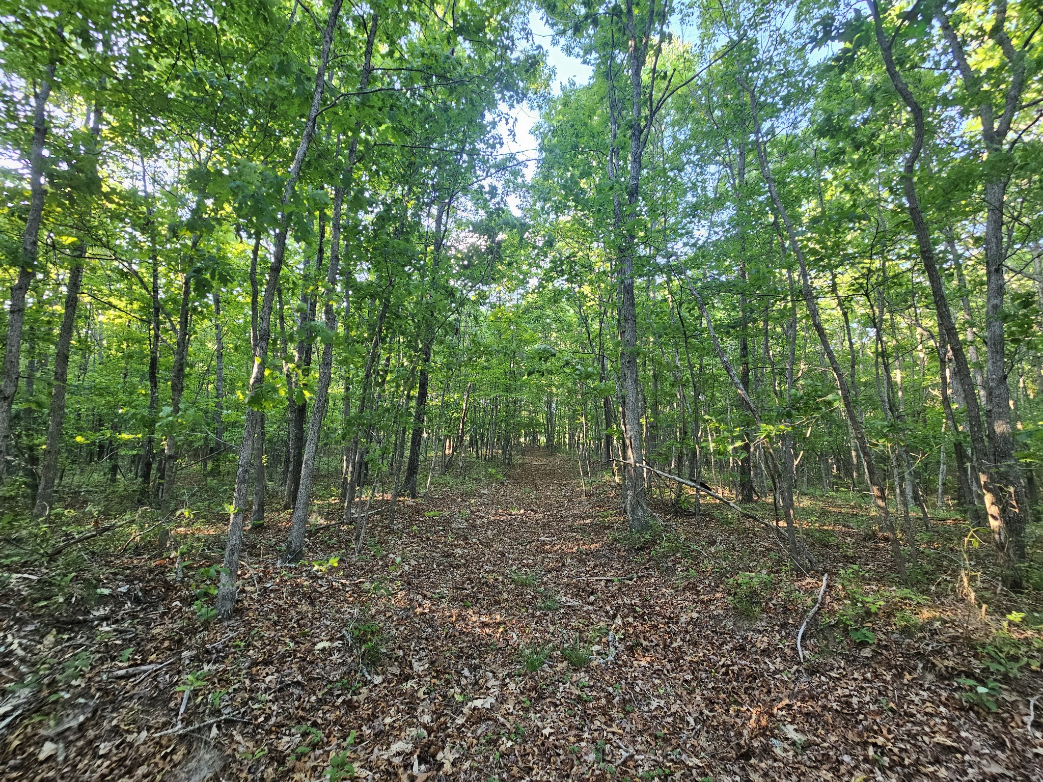 10 Griswold Road Altamont TN 37301