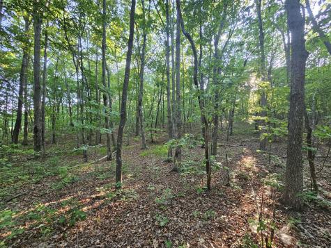 10 Griswold Road Altamont TN 37301