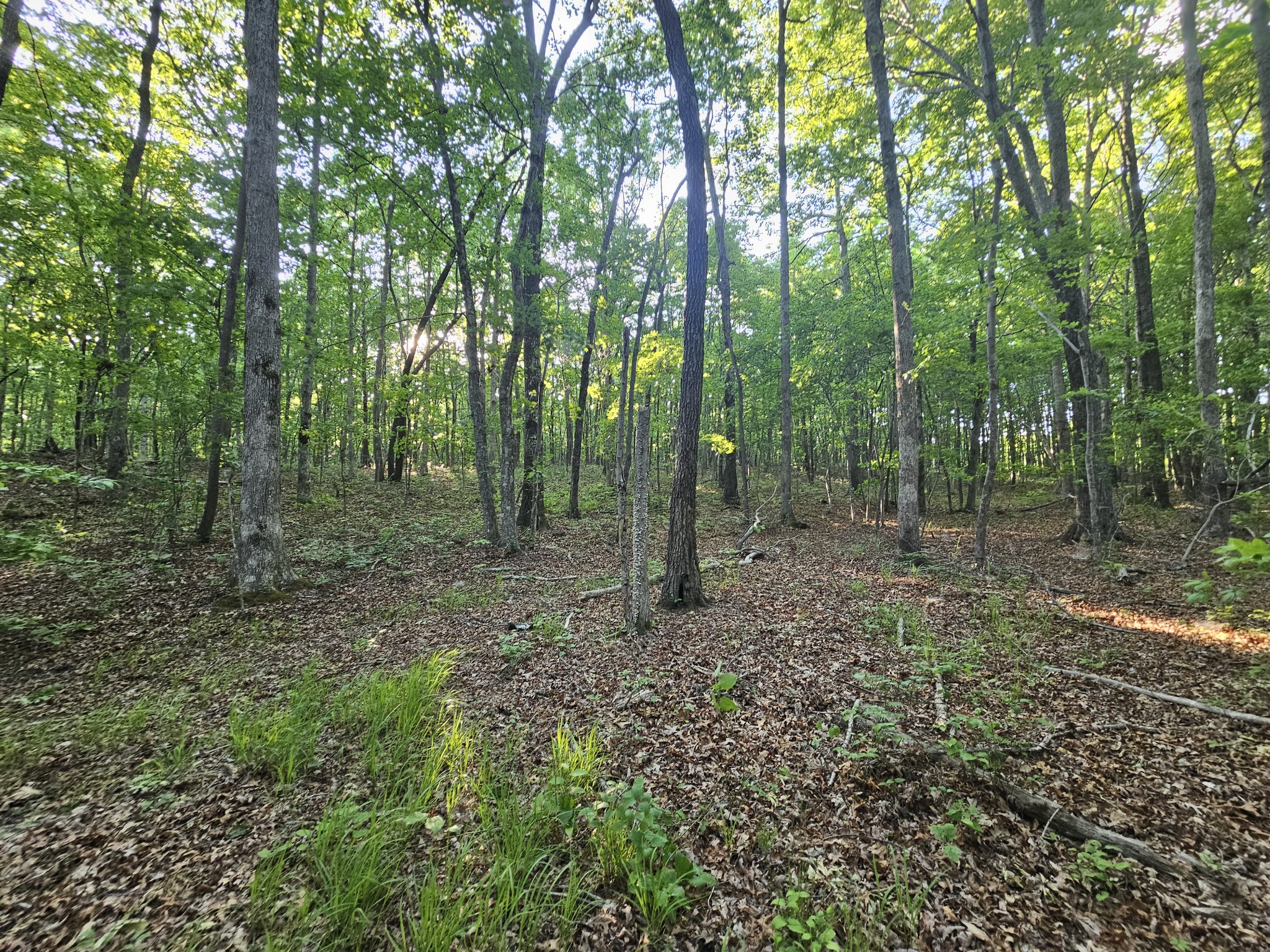 10 Griswold Road Altamont TN 37301
