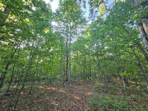10 Griswold Road Altamont TN 37301
