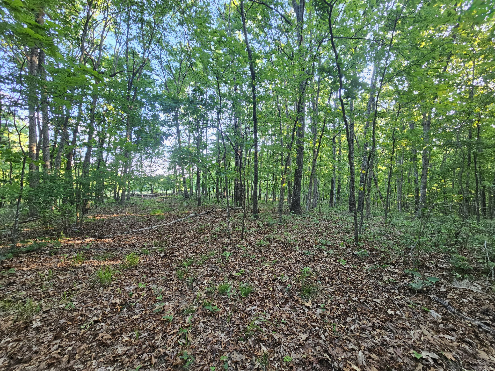 10 Griswold Road Altamont TN 37301