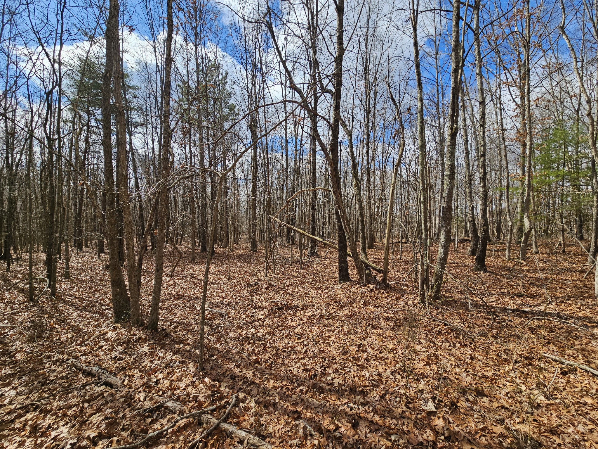 10 Griswold Road Altamont TN 37301