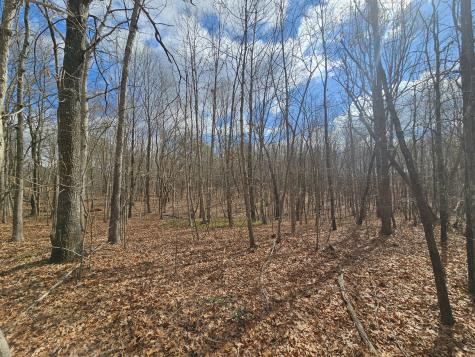 10 Griswold Road Altamont TN 37301