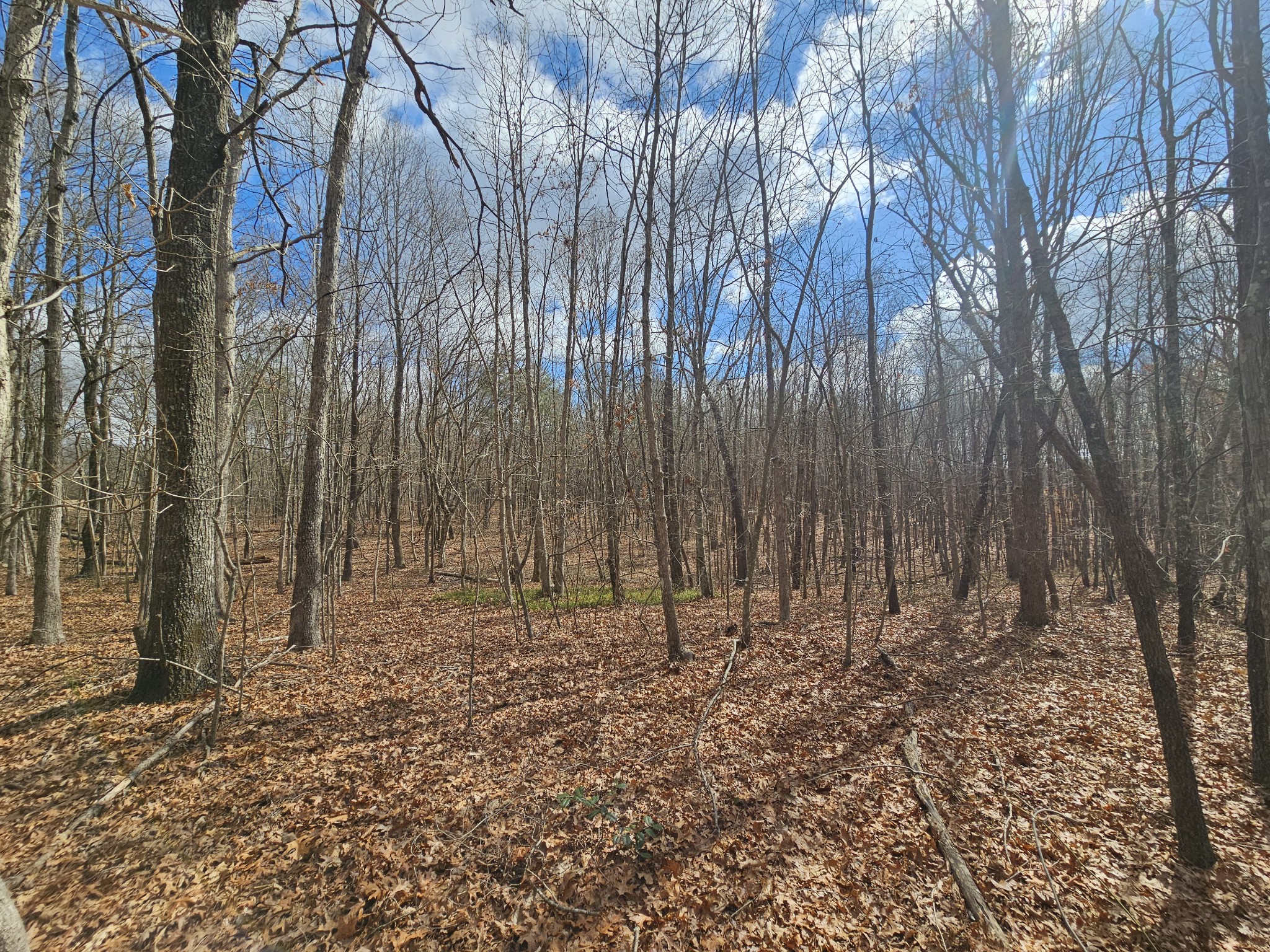 10 Griswold Road Altamont TN 37301
