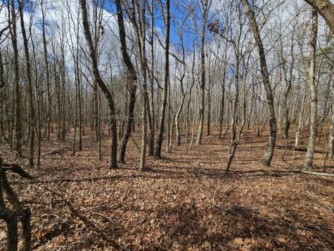 10 Griswold Road Altamont TN 37301
