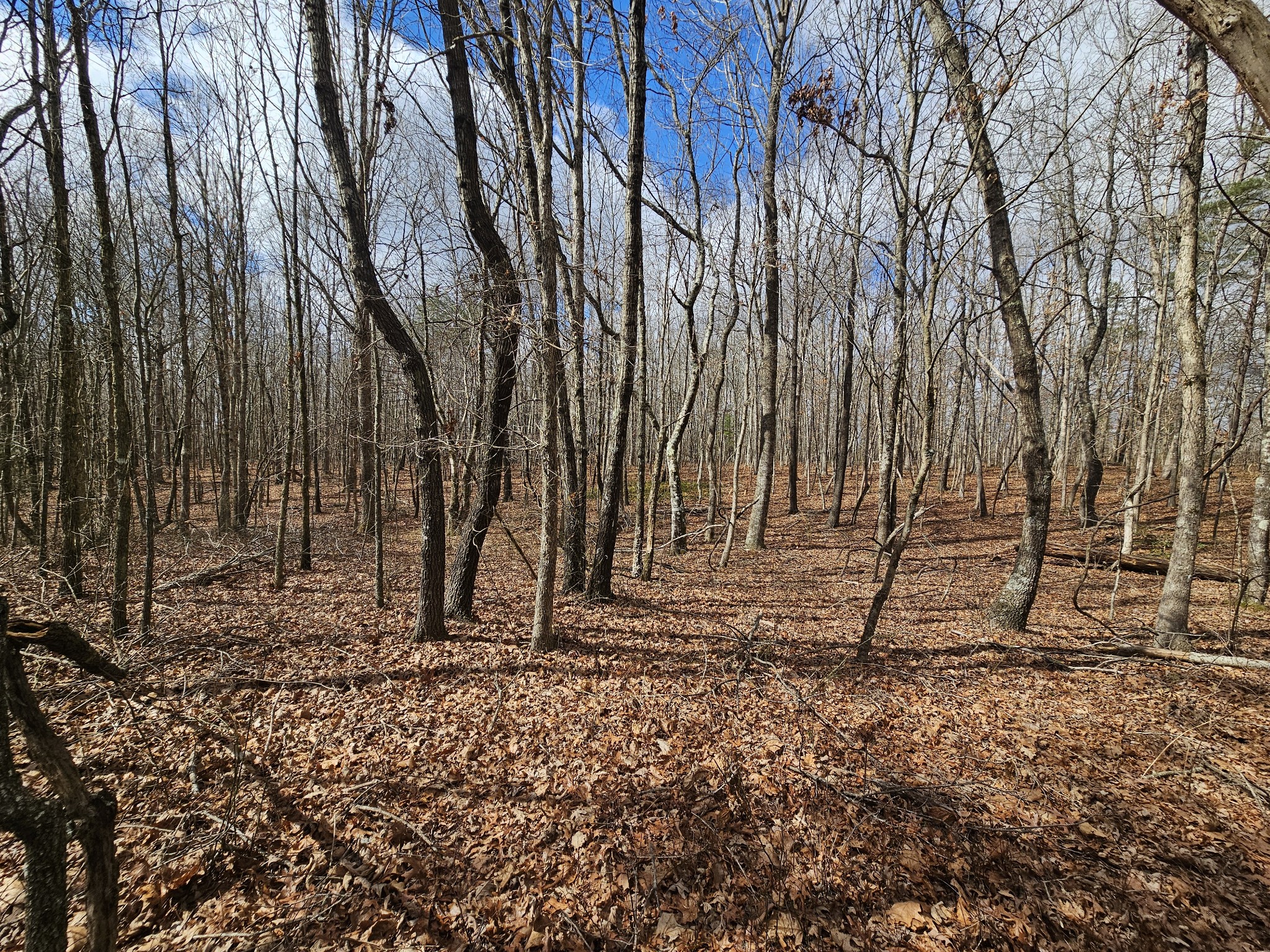 10 Griswold Road Altamont TN 37301